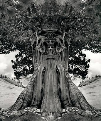 Tree-Goddess, 1994